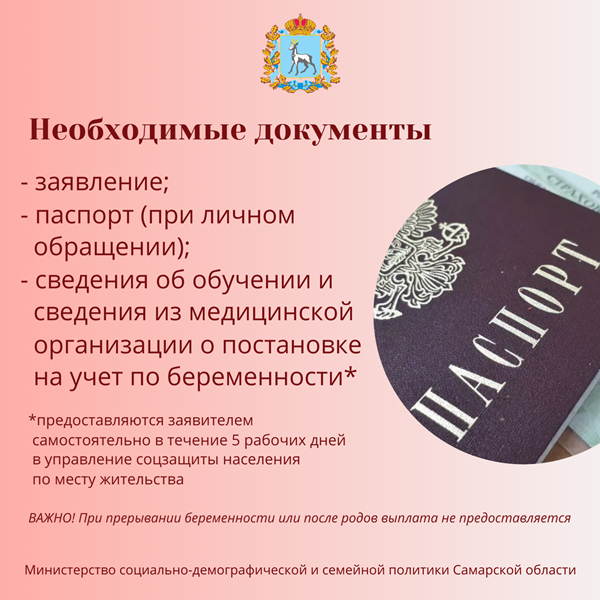 выплаты по беременности студентам