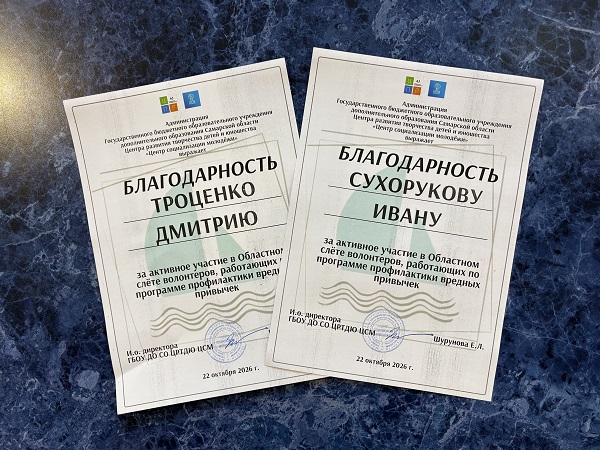 Областной слет волонтеров